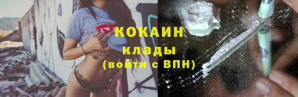 индика Волосово