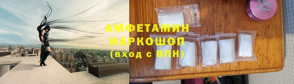 индика Волосово
